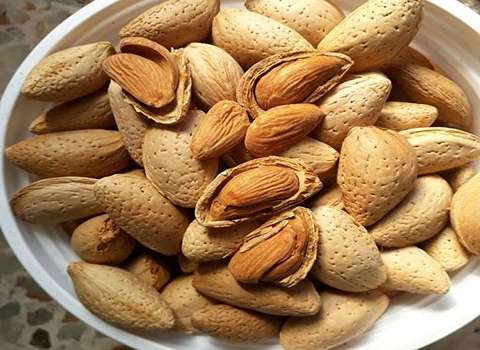 خرید مغز بادام سنگی شیرین + فروش صادراتی